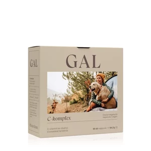 Gal C-komplex