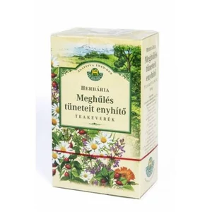 Herbária Meghűlés Elleni Filteres (20x13g)